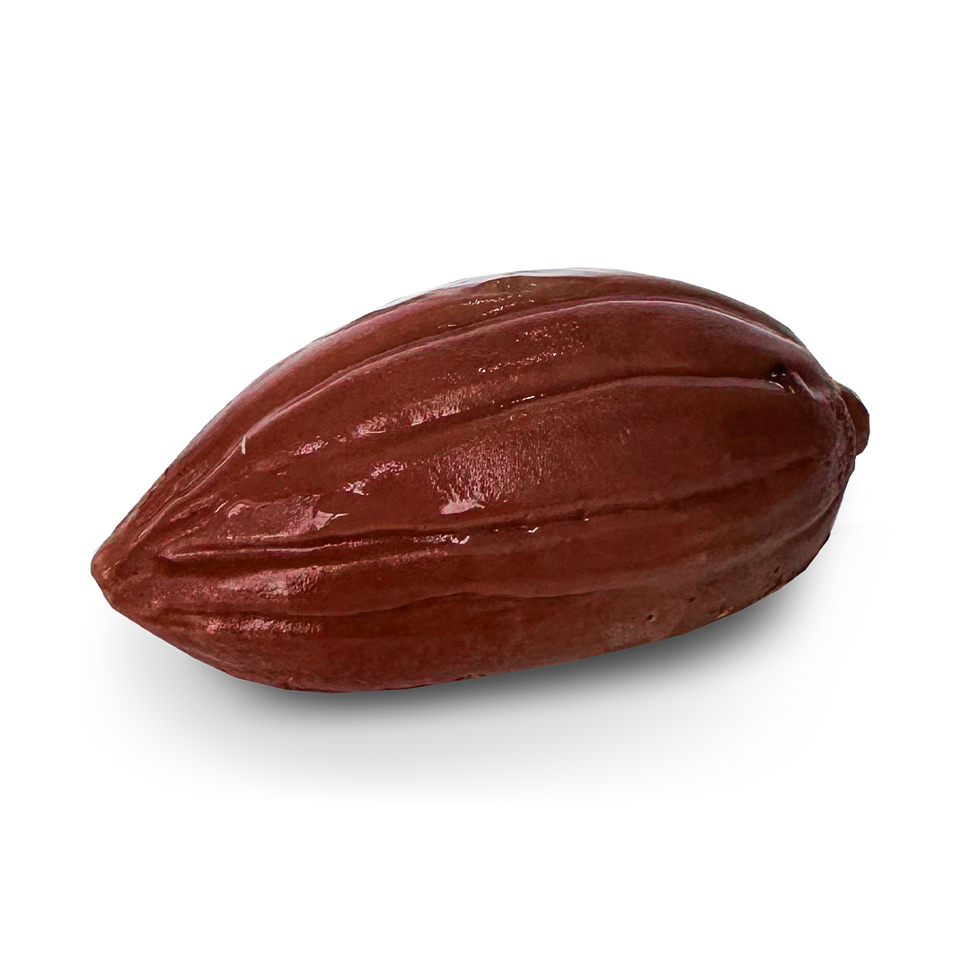 The Cocoa Pod